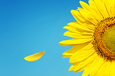 beat365(�й���)-Ψһ�ٷ���վ