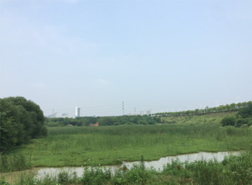 beat365(�й���)-Ψһ�ٷ���վ