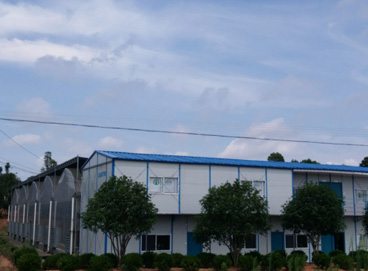 beat365(�й���)-Ψһ�ٷ���վ