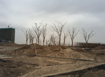 beat365(�й���)-Ψһ�ٷ���վ