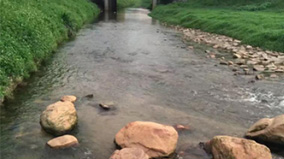 614c8ba1-f20b-45a8-97de-9b91974997c9 beat365(ÖйúÇø)-Ψһ¹Ù·½ÍøÕ¾