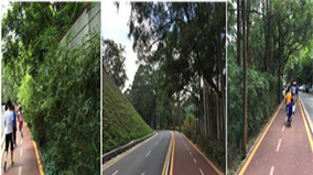 87218a6e-1b56-4d90-96e6-784b5675f40a beat365(ÖйúÇø)-Ψһ¹Ù·½ÍøÕ¾