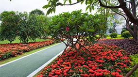 97d70de1-516a-4e0d-9715-d8044346c465 beat365(ÖйúÇø)-Ψһ¹Ù·½ÍøÕ¾