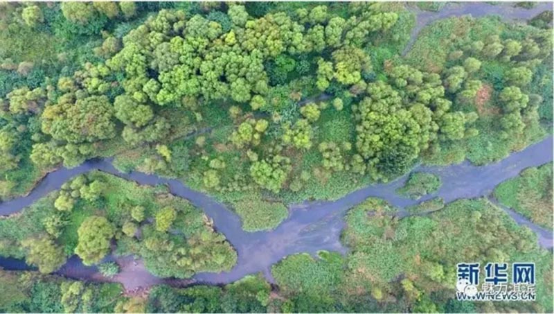 feff1fe4-c278-4ccb-8227-6fe97176368e