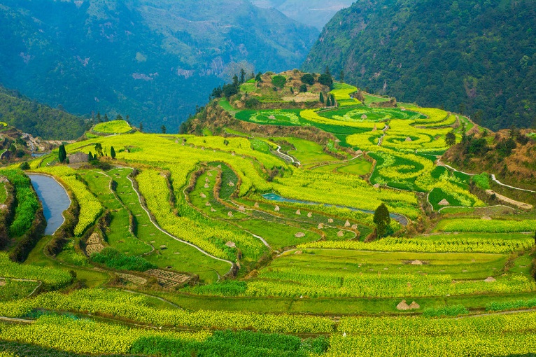 e216cf20-93d9-4466-841e-5be8f5fdcd34