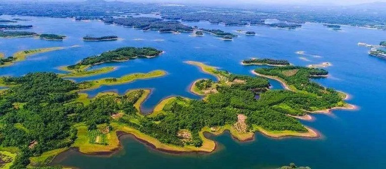 37443efc-fd14-4705-ba81-8d1fafe06cf3