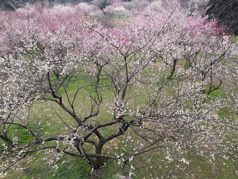 b940753c-fdde-485d-9e43-d5a2dd1cbac3