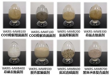 beat365(�й���)-Ψһ�ٷ���վ