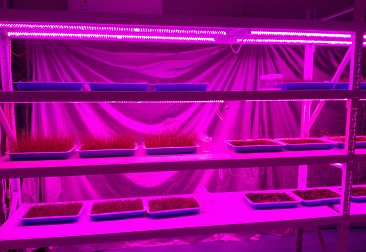 beat365(�й���)-Ψһ�ٷ���վ