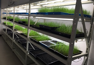 beat365(�й���)-Ψһ�ٷ���վ