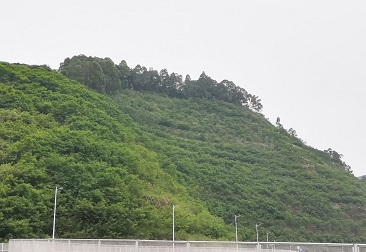 beat365(�й���)-Ψһ�ٷ���վ