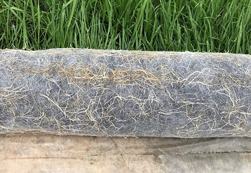 beat365(�й���)-Ψһ�ٷ���վ