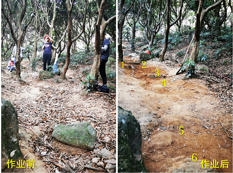 0567e6c1-c65d-4dc9-8cfe-54edcf61a3ff