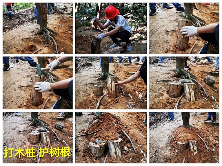 35acb8b3-fbbc-4ea6-be0c-259e4a733cab