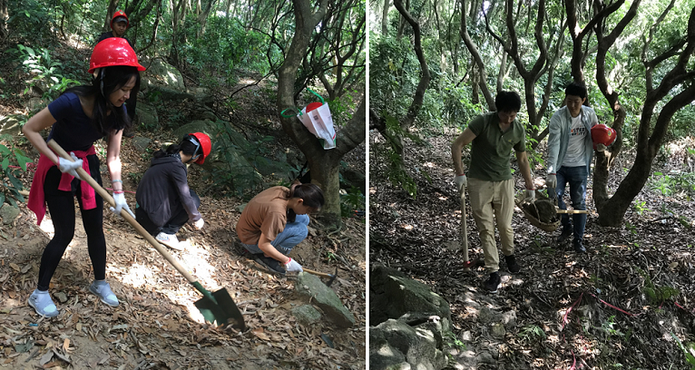 6f39e89e-40ea-441b-8463-c18b002ae918