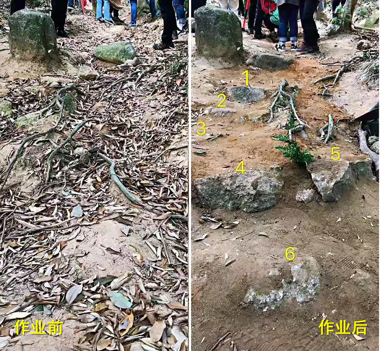 d18b7220-9c2a-4e79-9eba-35ac75c9b7dc