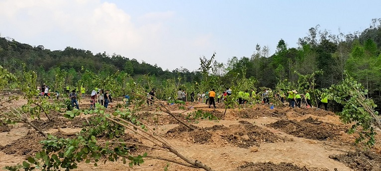 4d6d8c16-a7b1-4d1b-8a84-a39cdb23b0b4