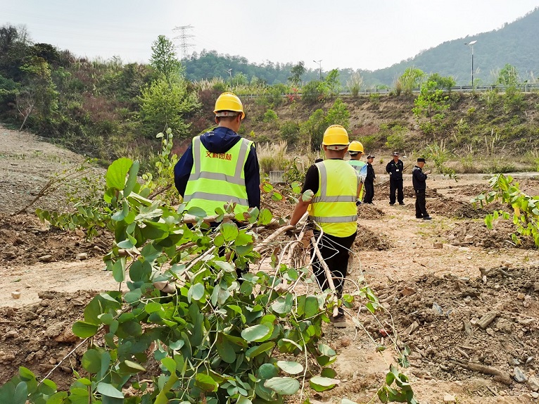 4e61786a-9887-4783-ad8b-e9cd2088f281