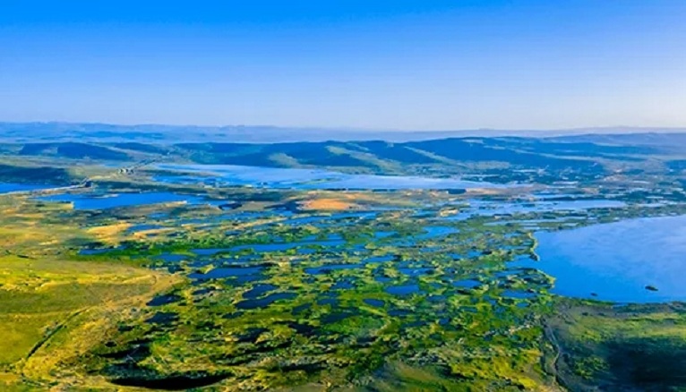 9a05ed45-cdbe-401d-bdb4-67e76251de5b