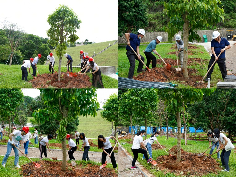 6fbc2367-a0f9-44c9-99b1-7f2c9164e59a