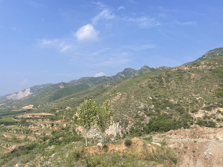 c8b36a67-fea4-485c-8ca3-55c1946145f6