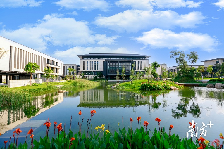 0b8e2f31-e191-4b21-8de0-09fc56261338