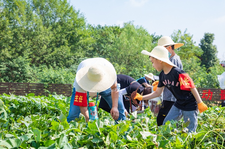 5f53a5c7-0772-4364-ad4a-b015173c3ccb 5f53a5c7-0772-4364-ad4a-b015173c3ccb