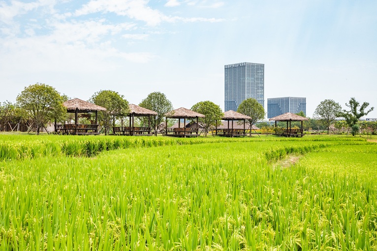 62f091a1-b05a-4c10-9724-4b72e9ed07f2 62f091a1-b05a-4c10-9724-4b72e9ed07f2