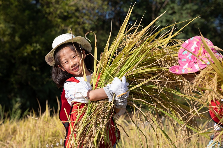 6f350962-fd1a-44a7-bbbd-e5ede1ea71ef 6f350962-fd1a-44a7-bbbd-e5ede1ea71ef