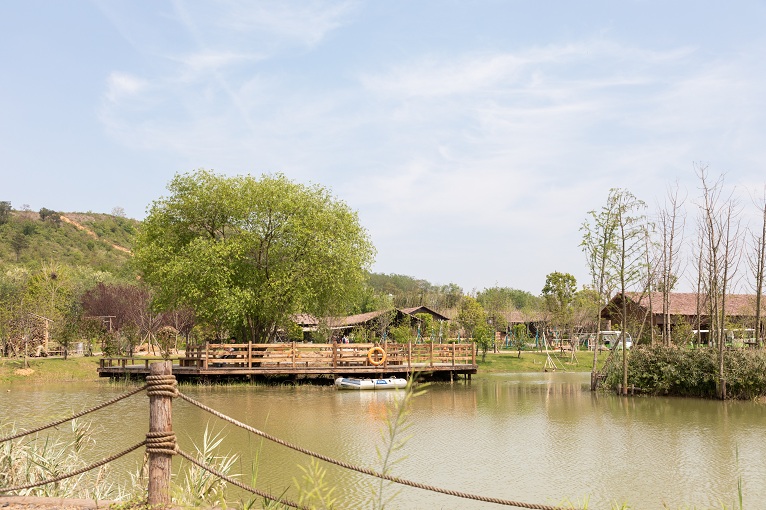 81fe7a46-2c59-42f9-9865-2a350c4911a0 81fe7a46-2c59-42f9-9865-2a350c4911a0