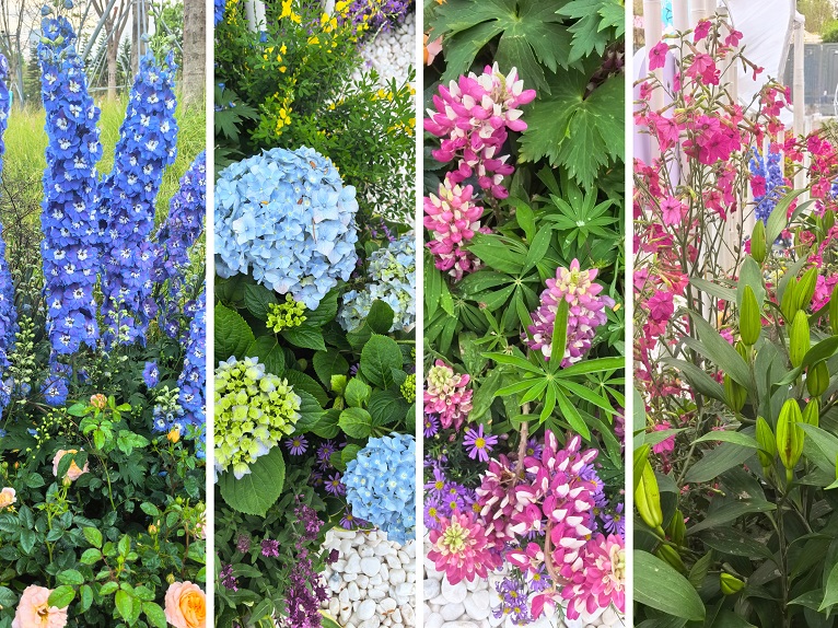 e69c0c96-135b-4cd2-baca-ab70db07ae31 e69c0c96-135b-4cd2-baca-ab70db07ae31