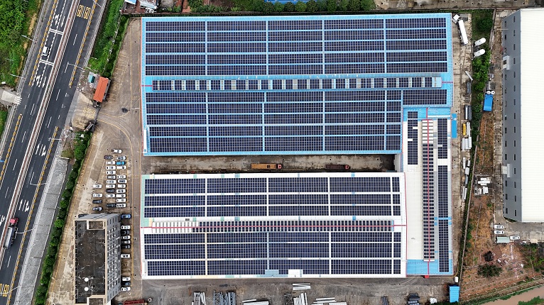 39b57038-05cc-4251-91c5-adc9809ede39 39b57038-05cc-4251-91c5-adc9809ede39