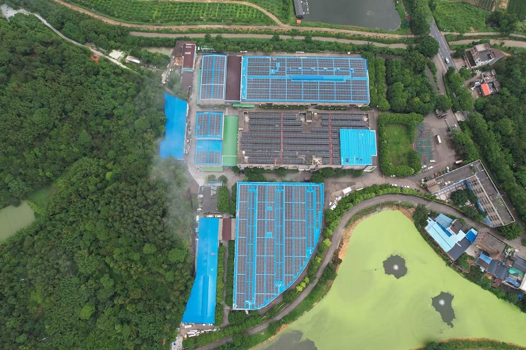 b16ab4d8-2856-4cc5-8a0f-49e7a7893d53 b16ab4d8-2856-4cc5-8a0f-49e7a7893d53