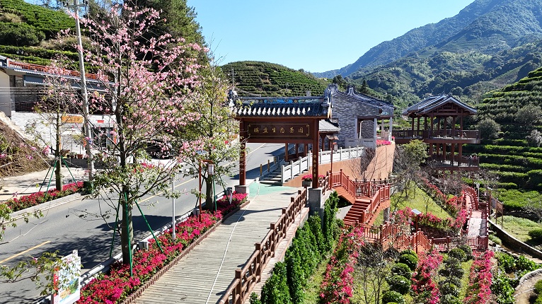 99346d1d-bdaa-4b35-9493-0be399e7c318