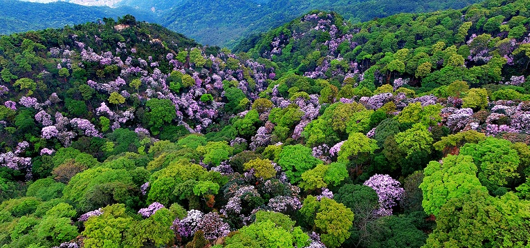 f185d6a1-34c4-489f-b38c-d0a2cf9b5b57