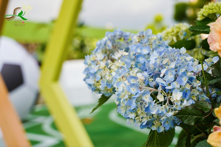 aae86ff9-c5a9-46d5-9cbc-099e43d6d64d